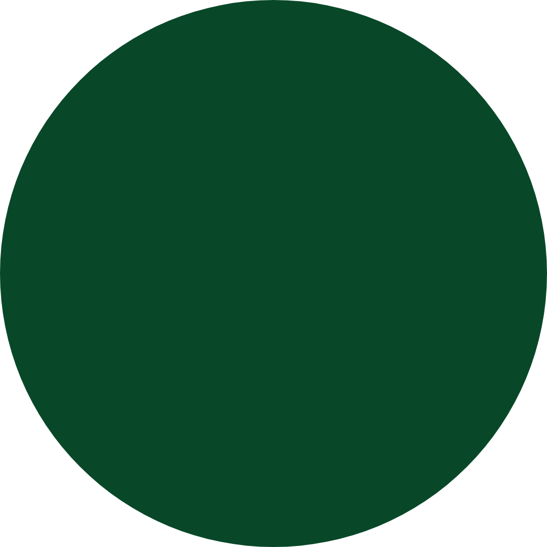 SBF Favicon Green